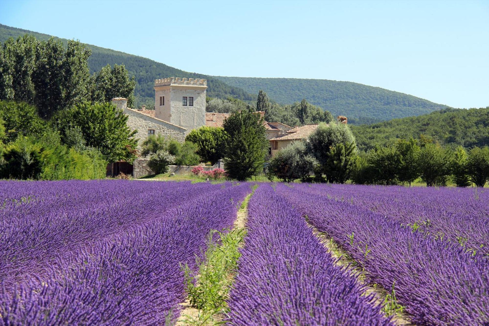 La Colombiere - Vue Imprenable Sur L'Ardeche - Tres Calme - Tres Bien Situe - Residence Privee Montelimar Ngoại thất bức ảnh